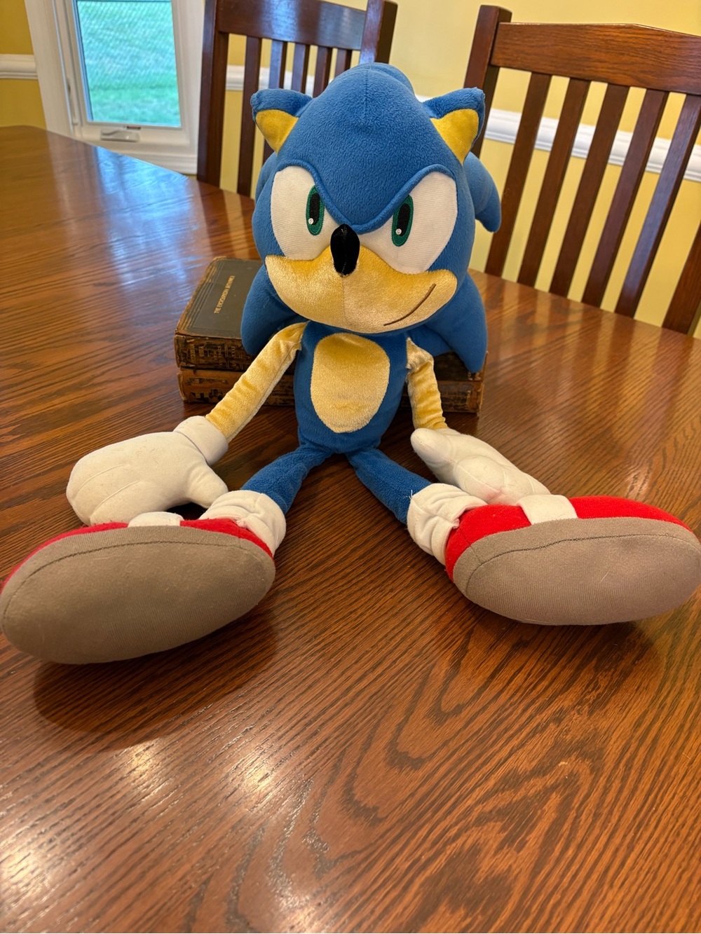 Sonic Sega Hedgehog